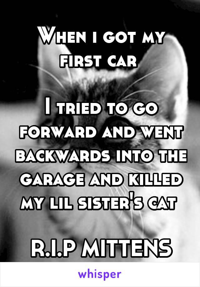 When i got my first car 

I tried to go forward and went backwards into the garage and killed my lil sister's cat 

R.I.P MITTENS