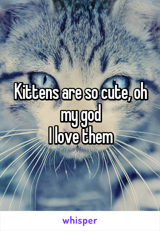 Kittens are so cute, oh my god
I love them