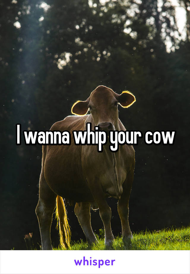I wanna whip your cow