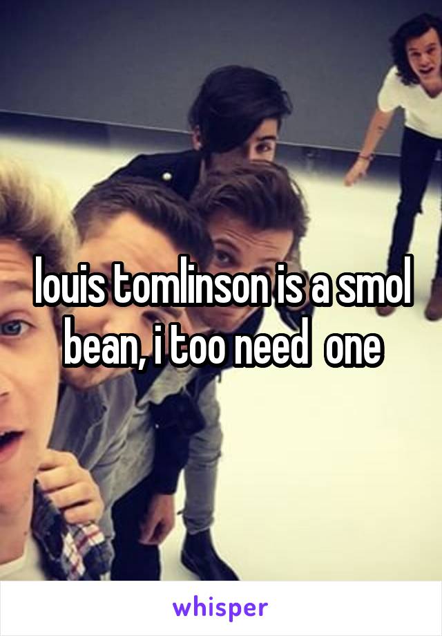 louis tomlinson is a smol bean, i too need  one