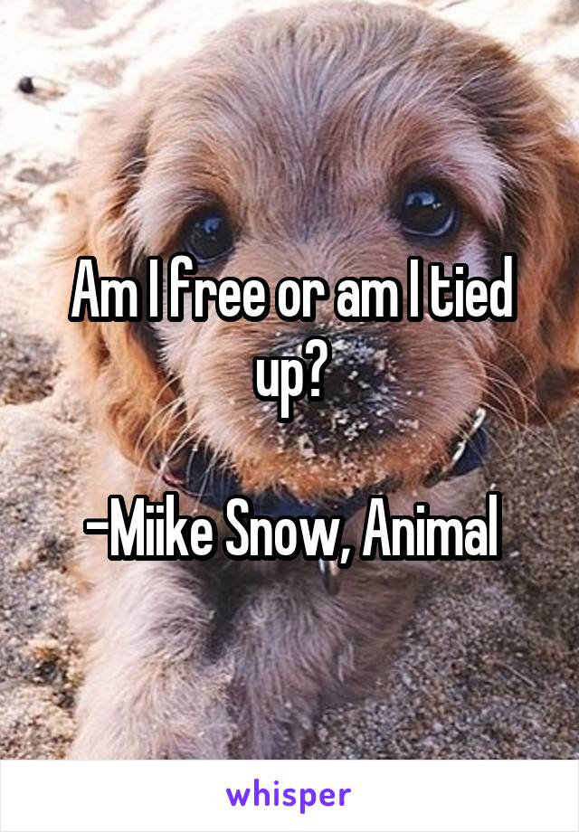 Am I free or am I tied up?

-Miike Snow, Animal