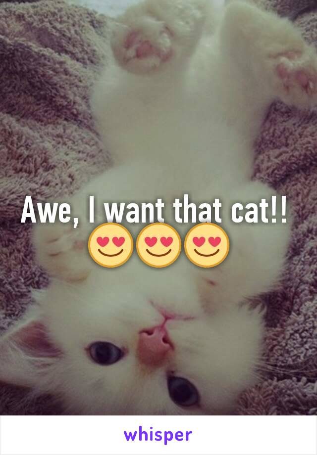 Awe, I want that cat!! 
😍😍😍