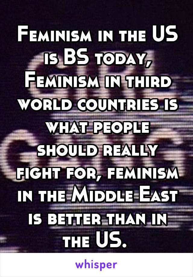 Feminism in the US is BS today, Feminism in third world countries is what people should really fight for, feminism in the Middle East is better than in the US. 