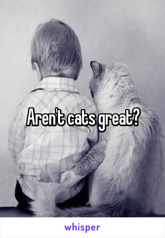 Aren't cats great?