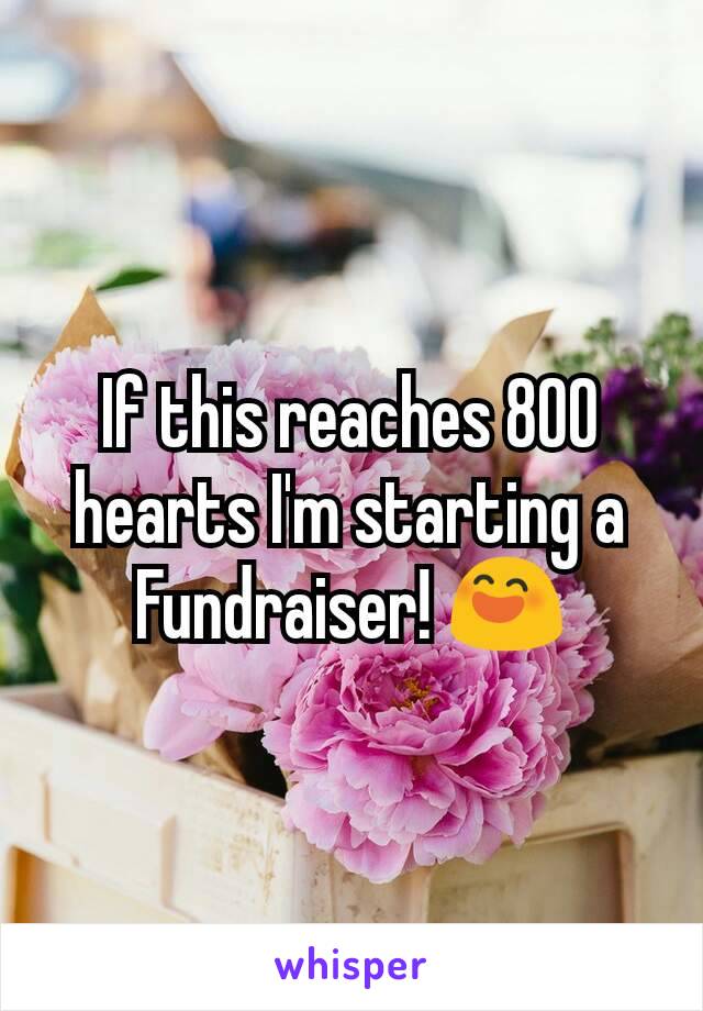 If this reaches 800 hearts I'm starting a Fundraiser! 😄