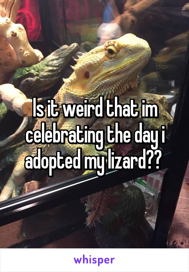 Is it weird that im celebrating the day i adopted my lizard?? 