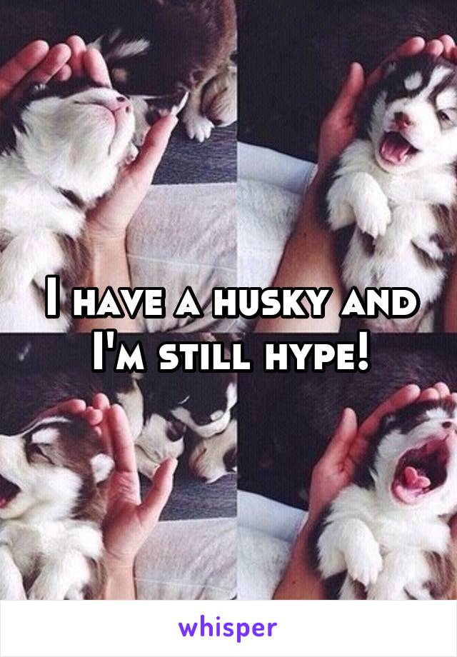 I have a husky and I'm still hype!