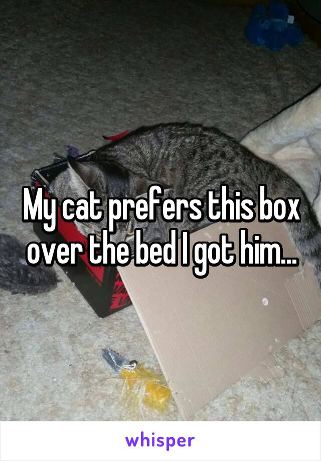 My cat prefers this box over the bed I got him...