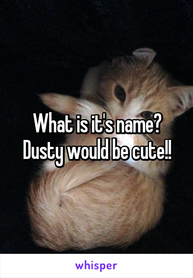 What is it's name?
Dusty would be cute!!