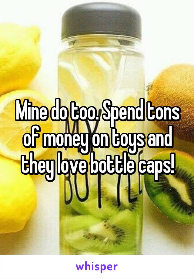 Mine do too. Spend tons of money on toys and they love bottle caps!