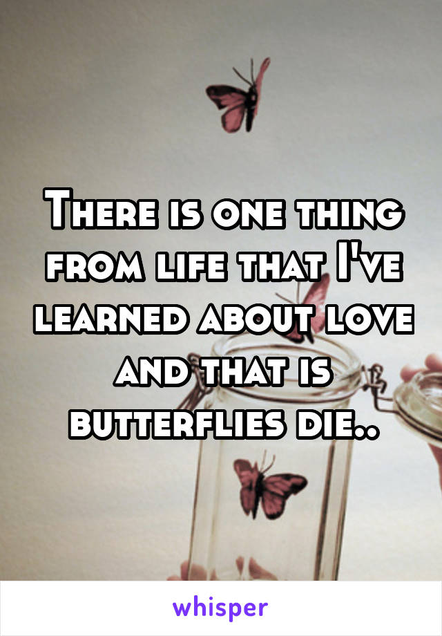 There is one thing from life that I've learned about love and that is butterflies die..
