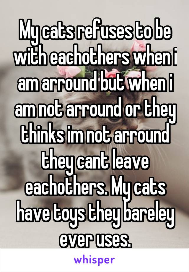 My cats refuses to be with eachothers when i am arround but when i am not arround or they thinks im not arround they cant leave eachothers. My cats have toys they bareley ever uses.