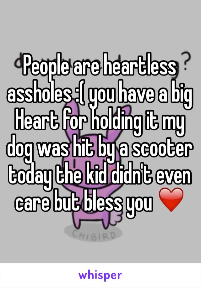 People are heartless assholes :( you have a big
Heart for holding it my dog was hit by a scooter today the kid didn't even care but bless you ❤️