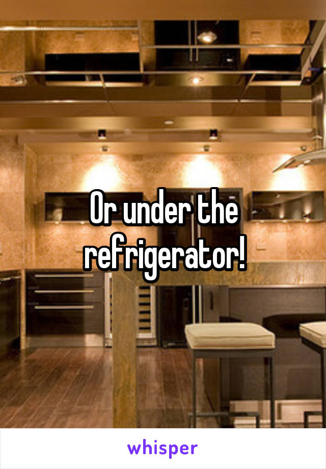 Or under the refrigerator!