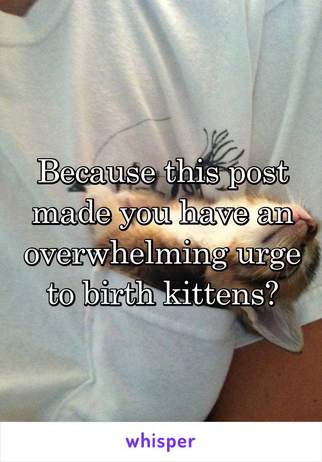 Because this post made you have an overwhelming urge to birth kittens?