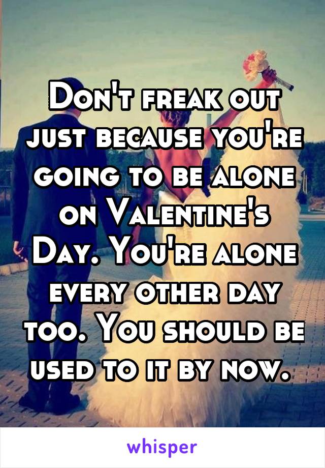 Don't freak out just because you're going to be alone on Valentine's Day. You're alone every other day too. You should be used to it by now. 