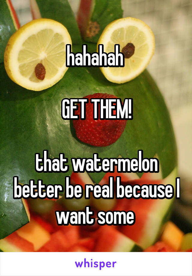hahahah 

GET THEM!

that watermelon better be real because I want some 