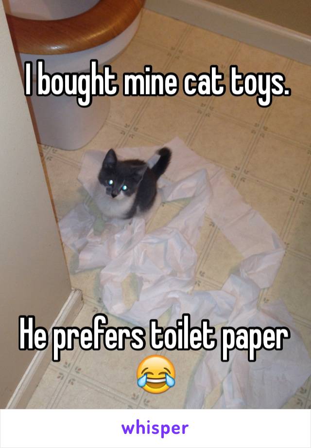  I bought mine cat toys.





He prefers toilet paper 😂