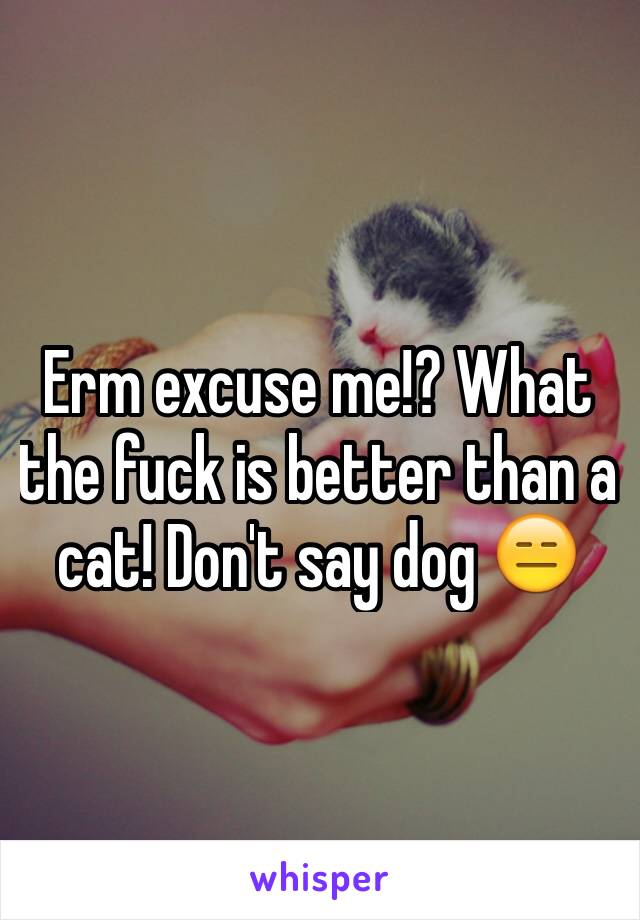 Erm excuse me!? What the fuck is better than a cat! Don't say dog 😑