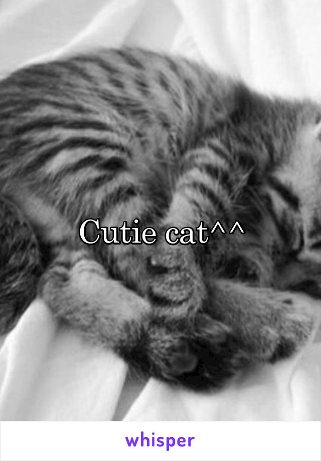 Cutie cat^^