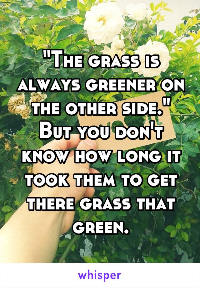 "The grass is always greener on the other side."
But you don't know how long it took them to get there grass that green.