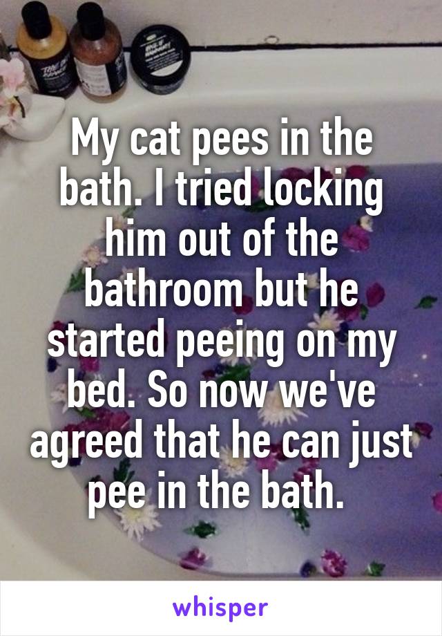 My cat pees in the bath. I tried locking him out of the bathroom but he started peeing on my bed. So now we've agreed that he can just pee in the bath. 