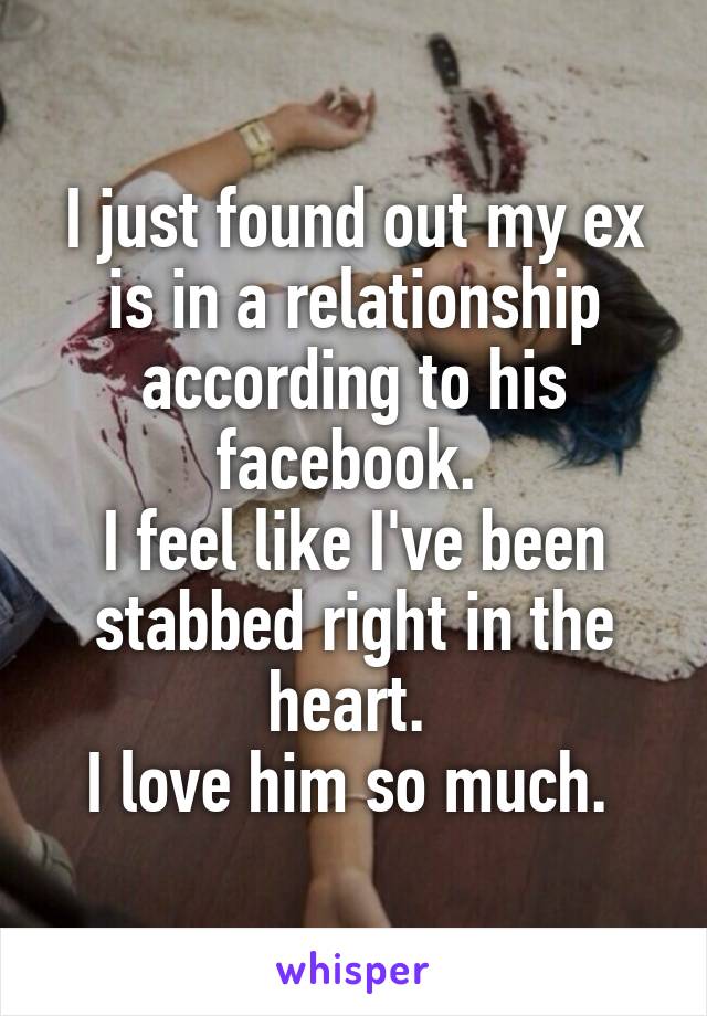 I just found out my ex is in a relationship according to his facebook. 
I feel like I've been stabbed right in the heart. 
I love him so much. 