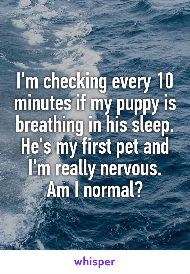 I'm checking every 10 minutes if my puppy is breathing in his sleep. He's my first pet and I'm really nervous.
Am I normal?