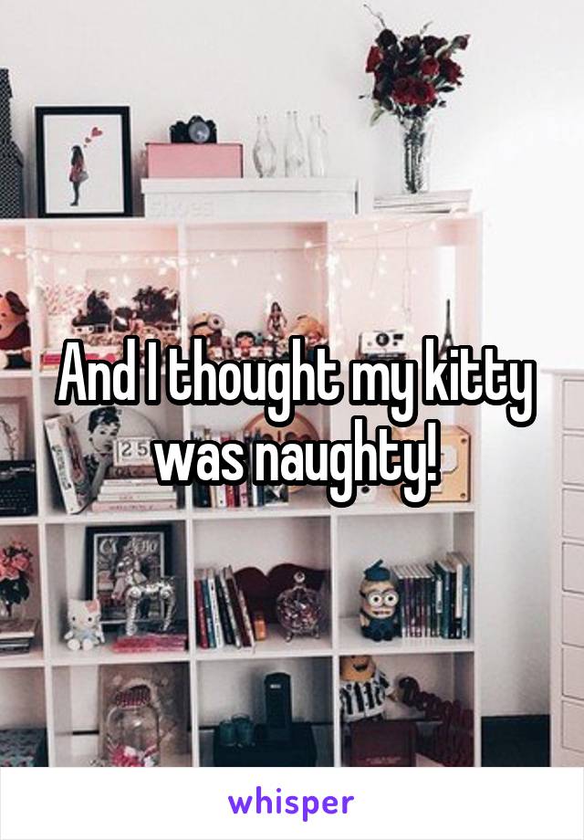 And I thought my kitty was naughty!