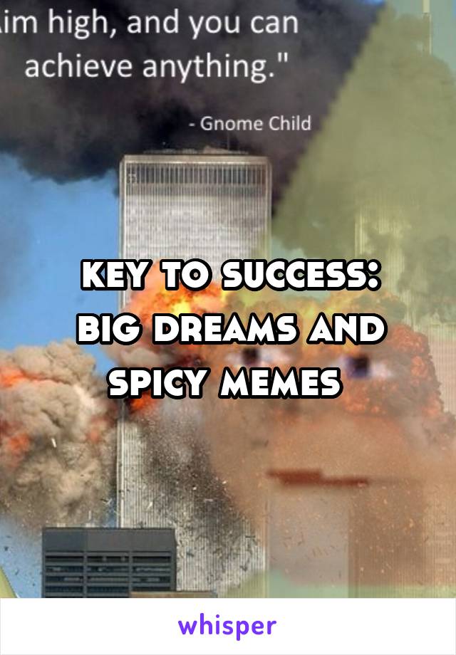 key to success:
big dreams and spicy memes 