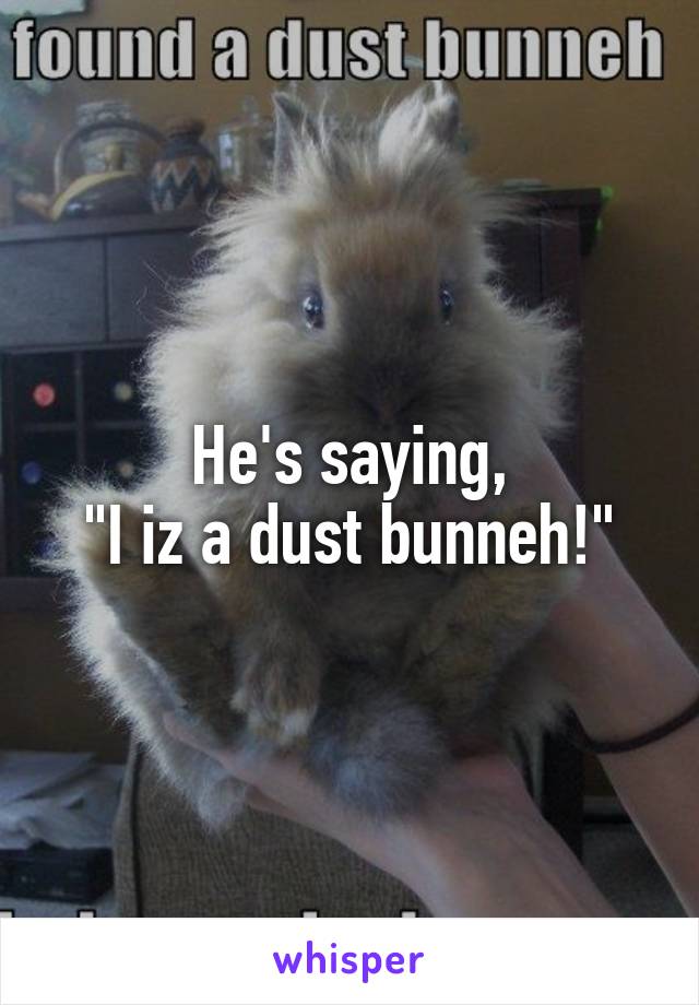 He's saying,
"I iz a dust bunneh!"