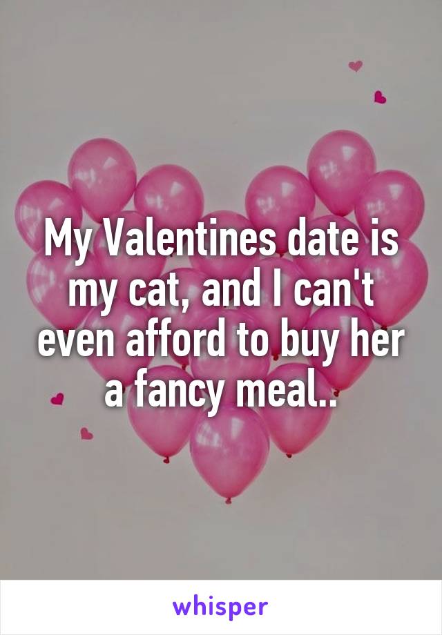 My Valentines date is my cat, and I can't even afford to buy her a fancy meal..