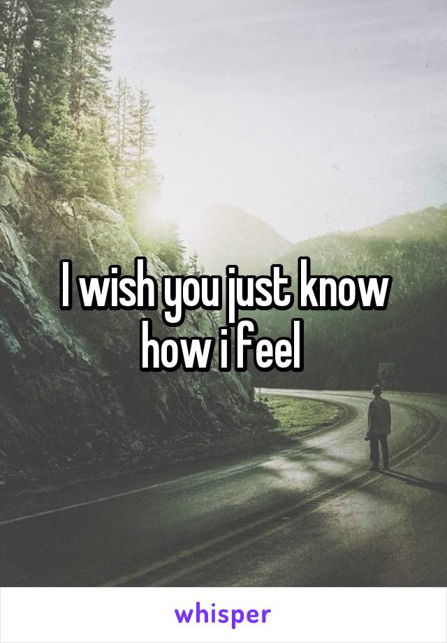 I wish you just know how i feel 