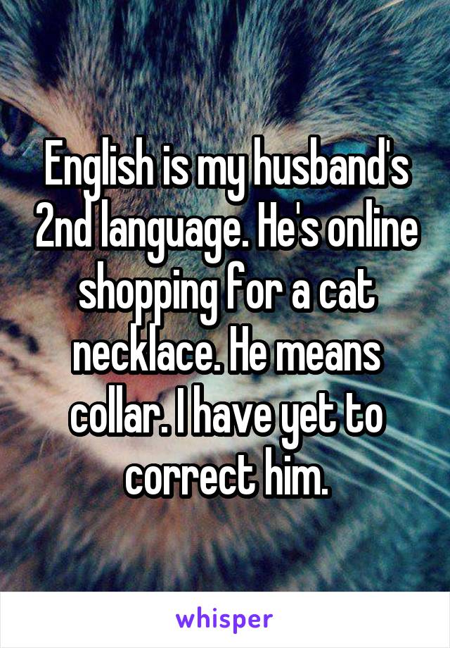 English is my husband's 2nd language. He's online shopping for a cat necklace. He means collar. I have yet to correct him.