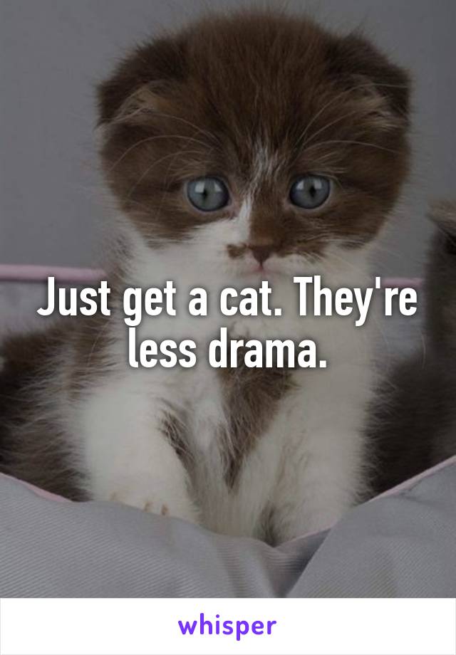 Just get a cat. They're less drama.