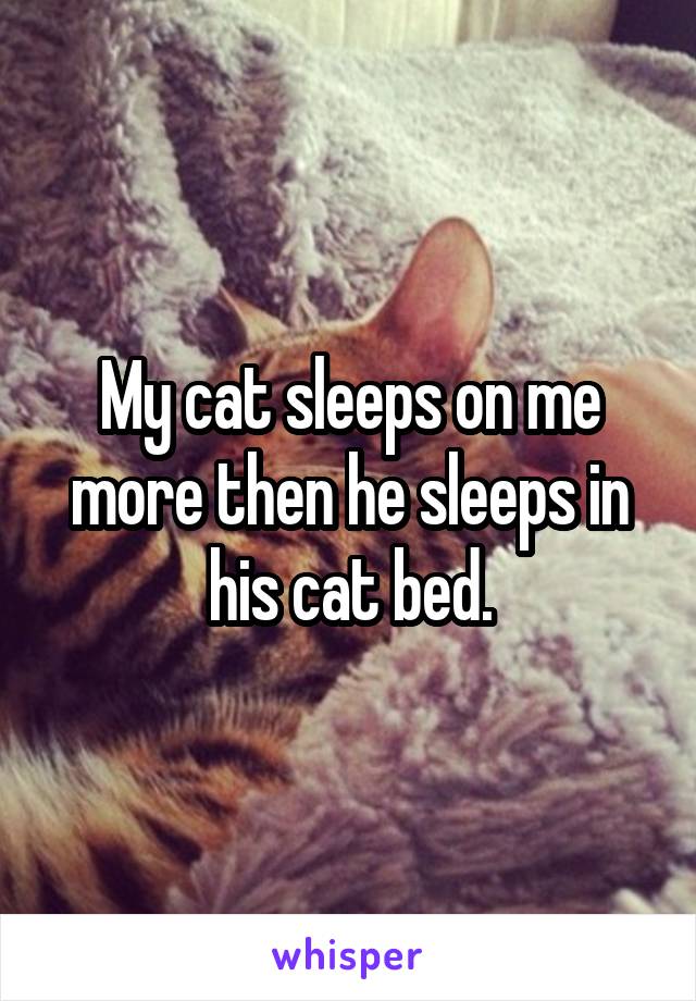 My cat sleeps on me more then he sleeps in his cat bed.