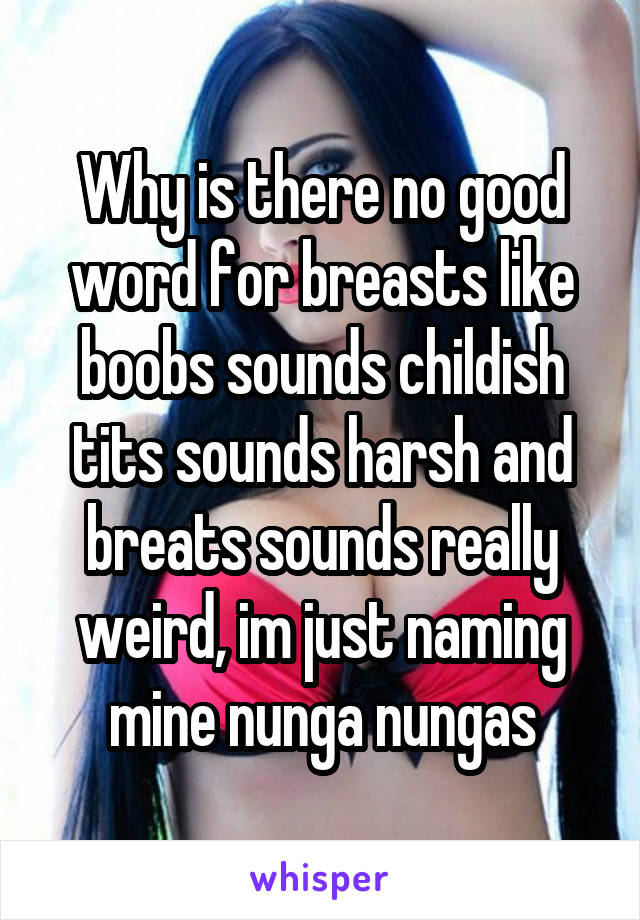 Why is there no good word for breasts like boobs sounds childish tits sounds harsh and breats sounds really weird, im just naming mine nunga nungas