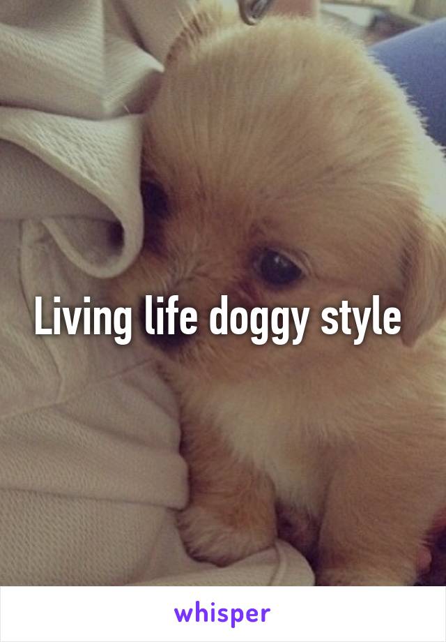 Living life doggy style 