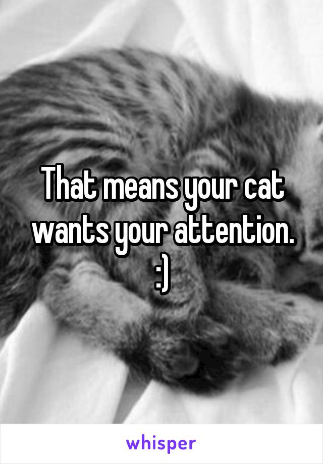 That means your cat wants your attention. :)