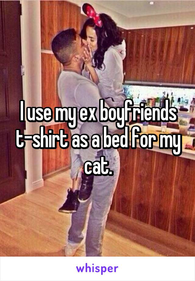 I use my ex boyfriends t-shirt as a bed for my cat.