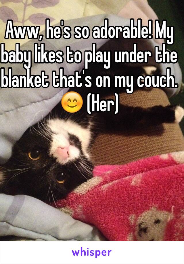 Aww, he's so adorable! My baby likes to play under the blanket that's on my couch. 😊 (Her)