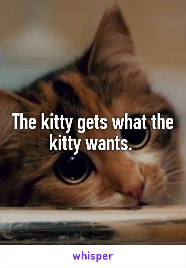 The kitty gets what the kitty wants. 