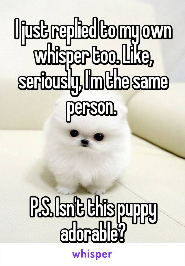 I just replied to my own whisper too. Like, seriously, I'm the same person. 



P.S. Isn't this puppy adorable?