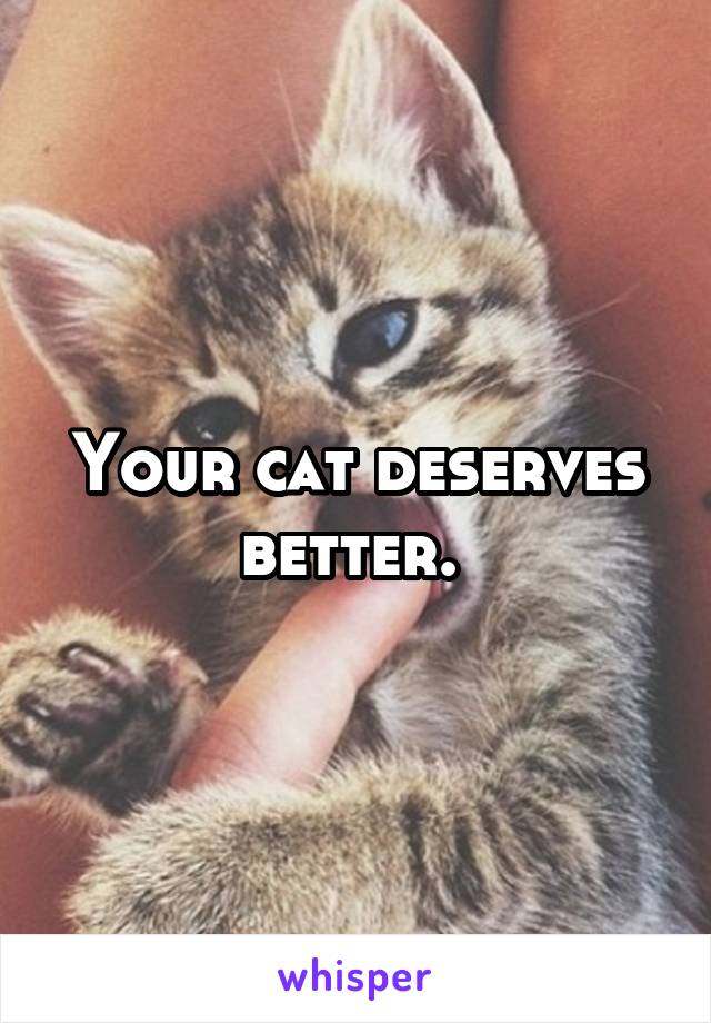 Your cat deserves better. 