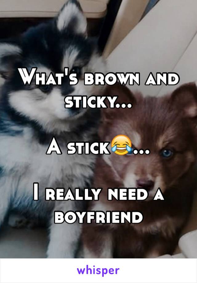 What's brown and sticky...

A stick😂...

I really need a boyfriend