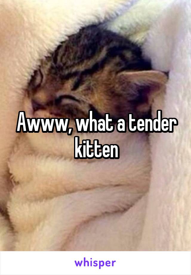 Awww, what a tender kitten