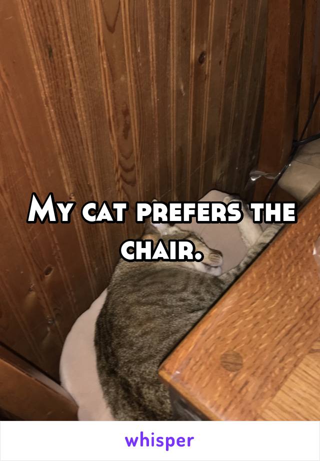 My cat prefers the chair.