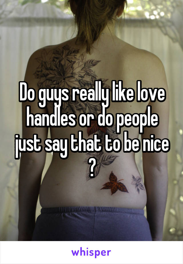 Do guys really like love handles or do people just say that to be nice ?