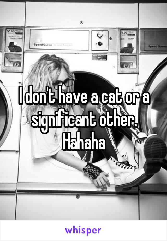 I don't have a cat or a significant other. Hahaha