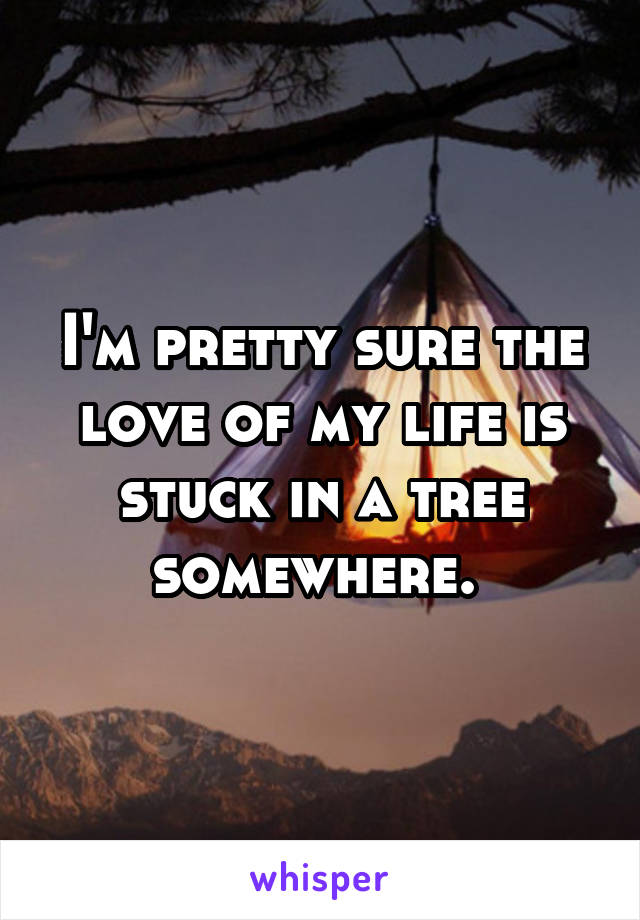 I'm pretty sure the love of my life is stuck in a tree somewhere. 